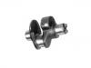 Vilebrequin Crankshaft:403 131 10 16