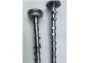 Arbol de Levas Camshaft:06J109021GKJ