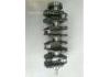 Vilebrequin Crankshaft:484J-1005011