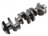 Vilebrequin Crankshaft:651 030 25 01